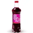 Acılı Şalgam Suyu (1 L.)