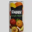 Cappy Karışık (33 cl.)